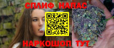 сатива Кимры