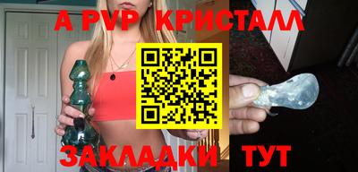 стаф Кинель