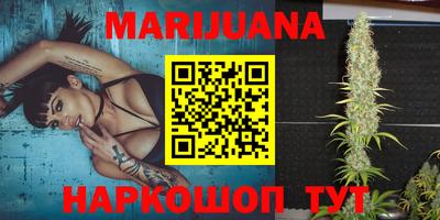 сатива Кимры