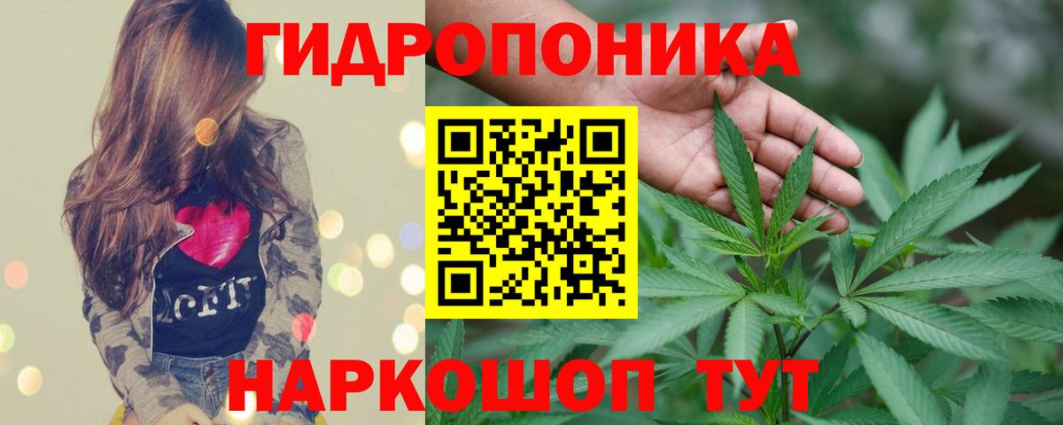 Шишки марихуана OG Kush Челябинск
